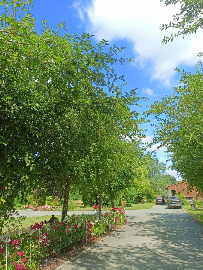 Les Chambres Du Vert Galant Rez De Jardin Verlinghem Exteriér fotografie