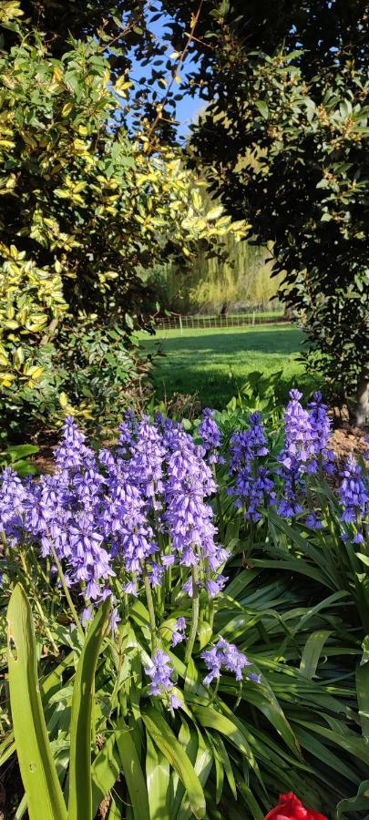 Les Chambres Du Vert Galant Rez De Jardin Verlinghem Exteriér fotografie